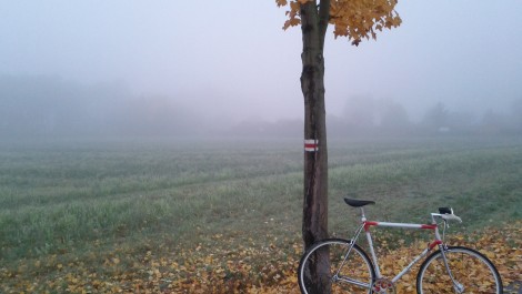 Nebelgeister
