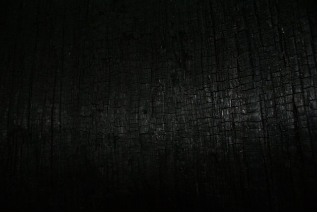 Verbrannt und doch am Leben verbranntes Holz