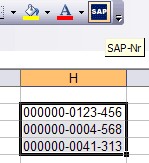 Screenshot SAP-Nr in Excel